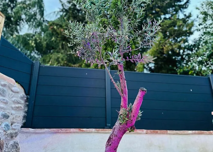 Дом отдыха La Maisonnette De Mouragues *