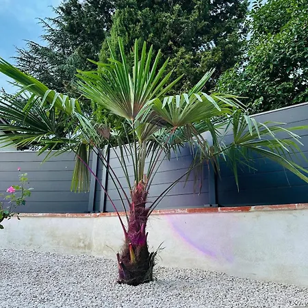 La Maisonnette De Mouragues Foix