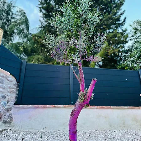 Vakantiehuis La Maisonnette De Mouragues *